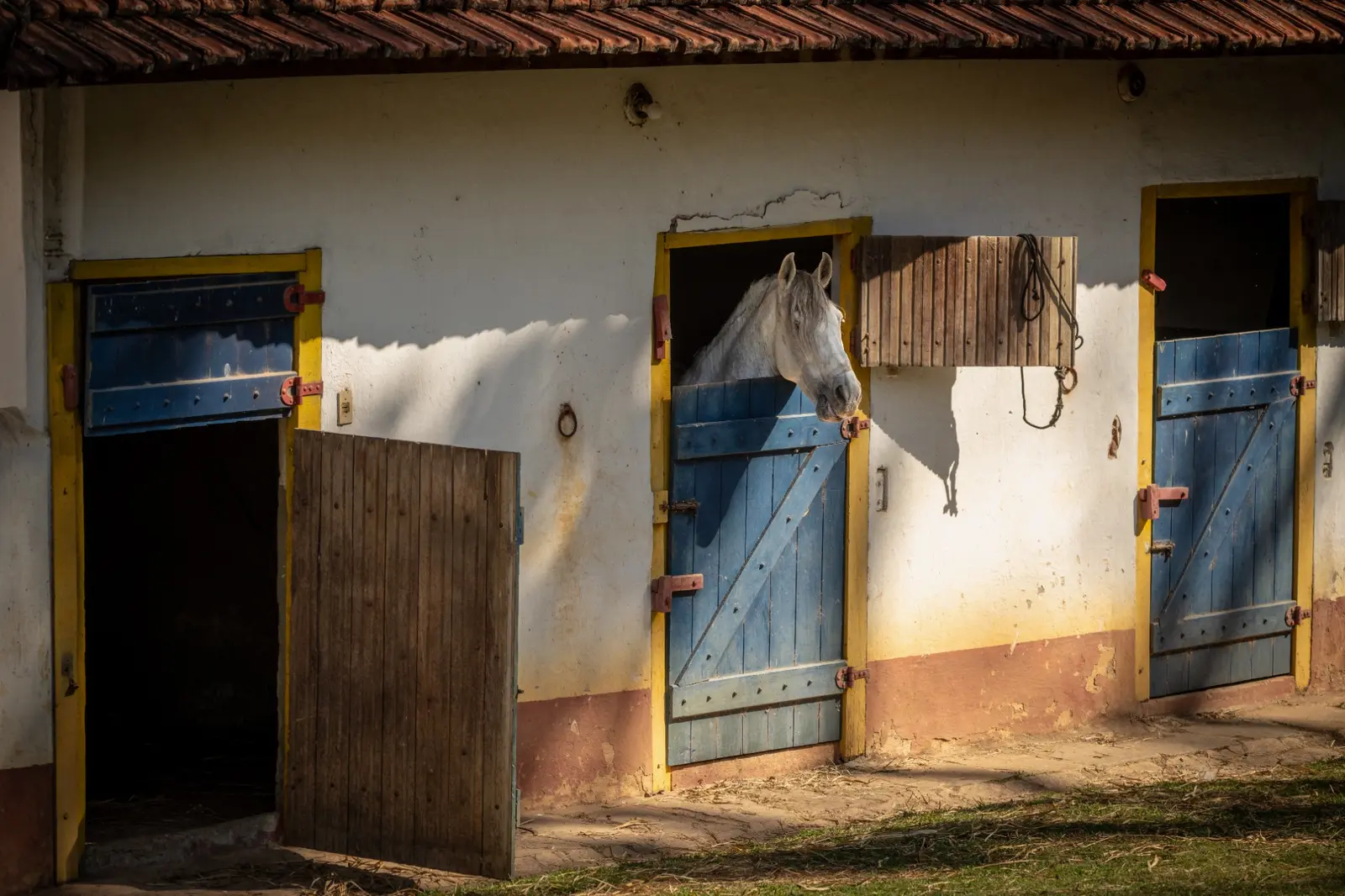 Construção rural branca com portas e janelas azuis