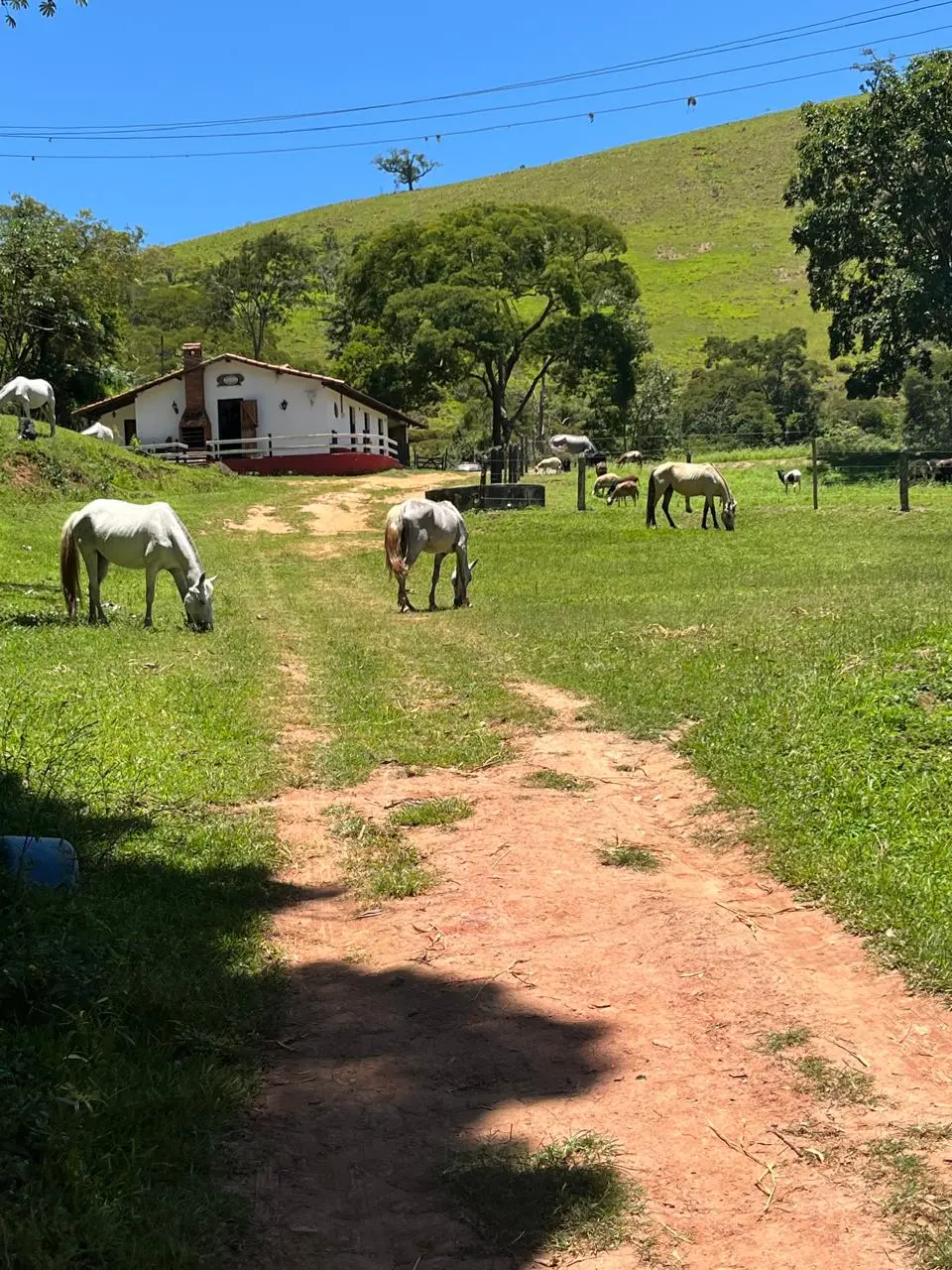 Cavalos pastando junto às construções rurais, com morros ao fundo