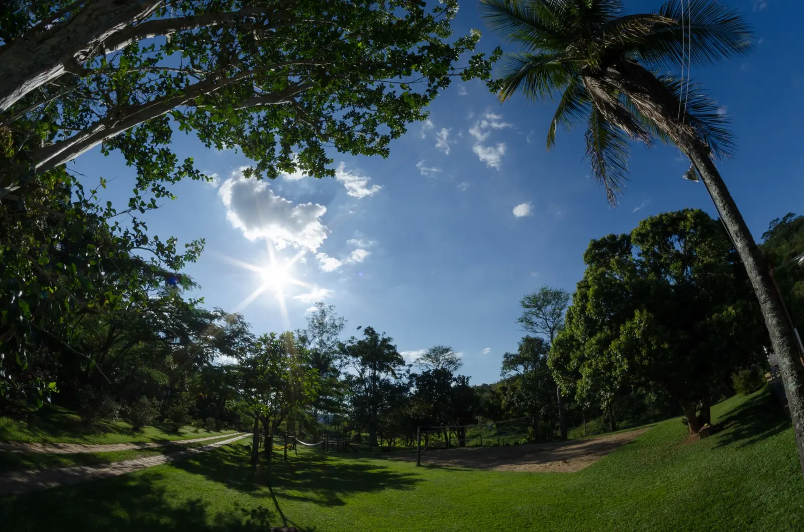 Jardim ensolarado com gramado e árvores