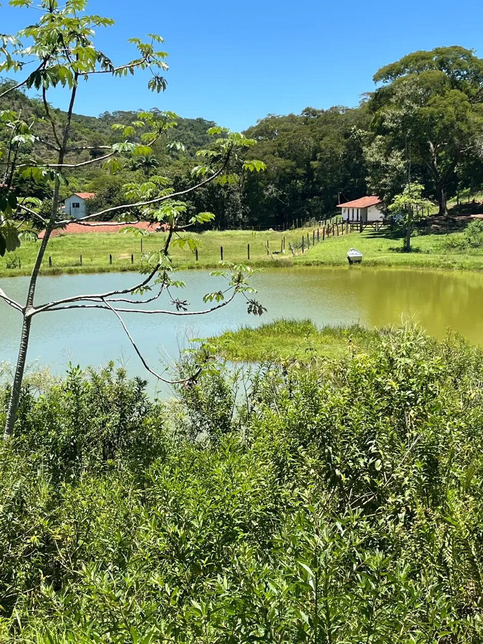 Lago da fazenda diante de pastagens e construções rurais