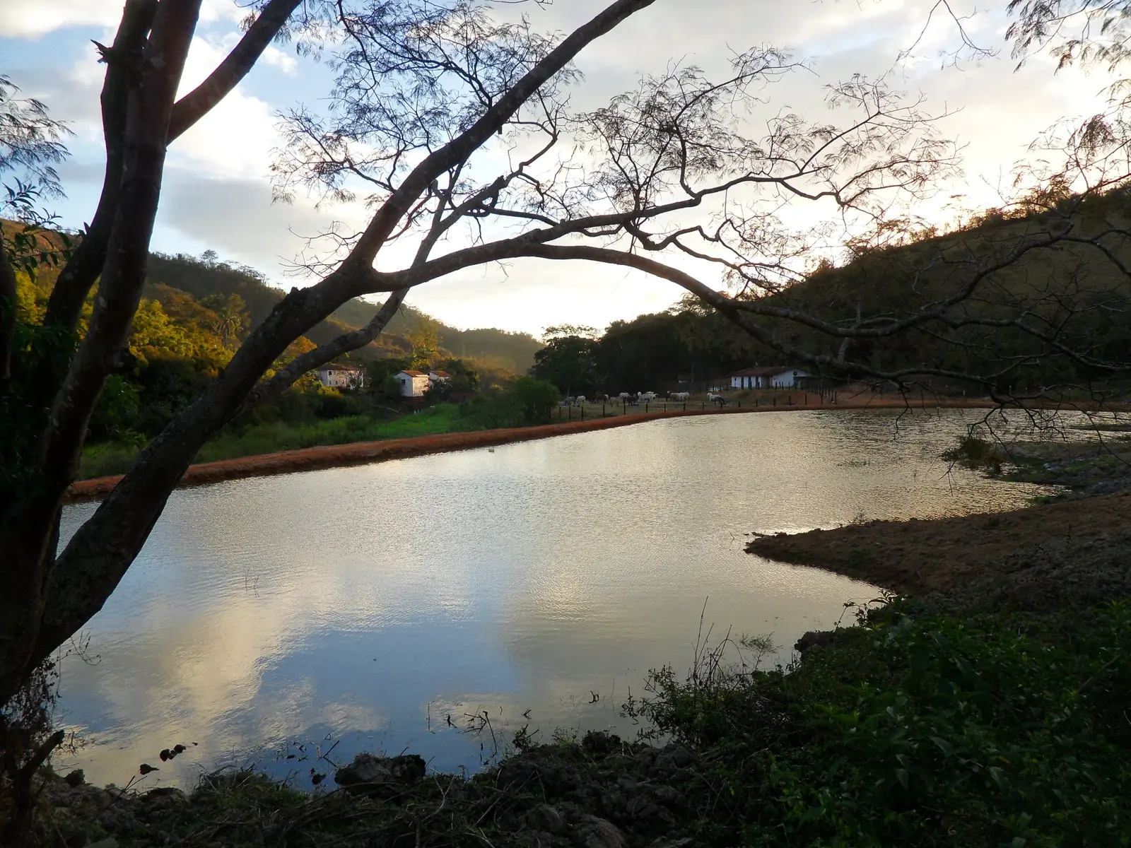Lago da fazenda cercado por árvores ao entardecer