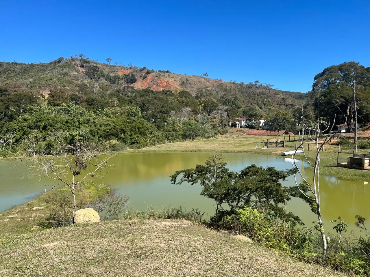 Vista horizontal do lago, das pastagens e das montanhas