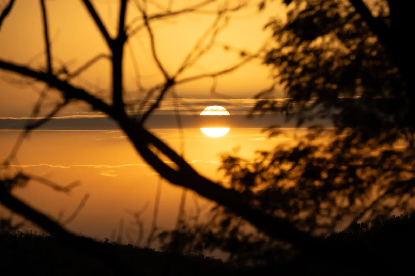 Sol se pondo sobre o lago entre galhos de árvore