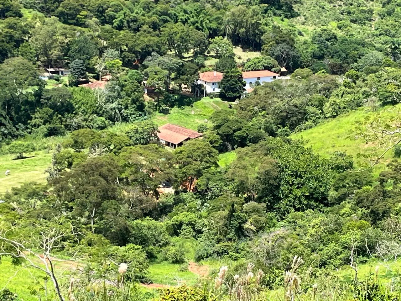 Vista ampla da propriedade cercada pela mata e por montanhas