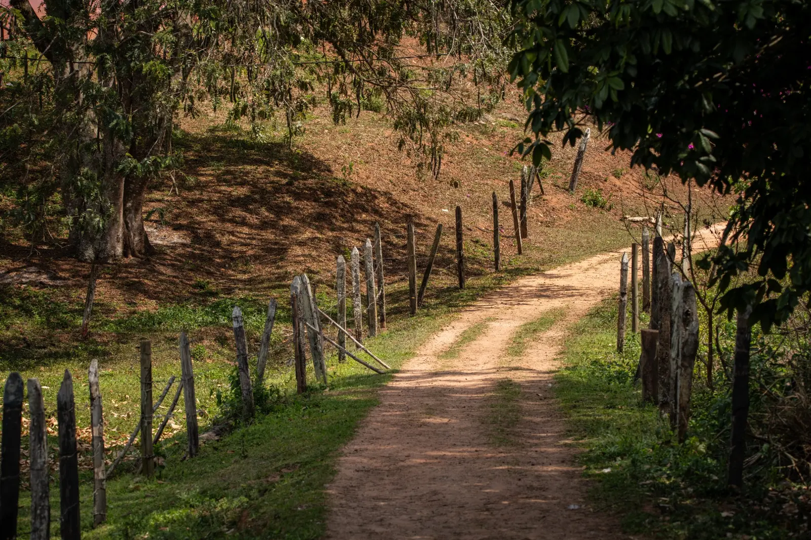 Caminho de terra entre árvores e cercas na Fazenda Hotel Jatahy